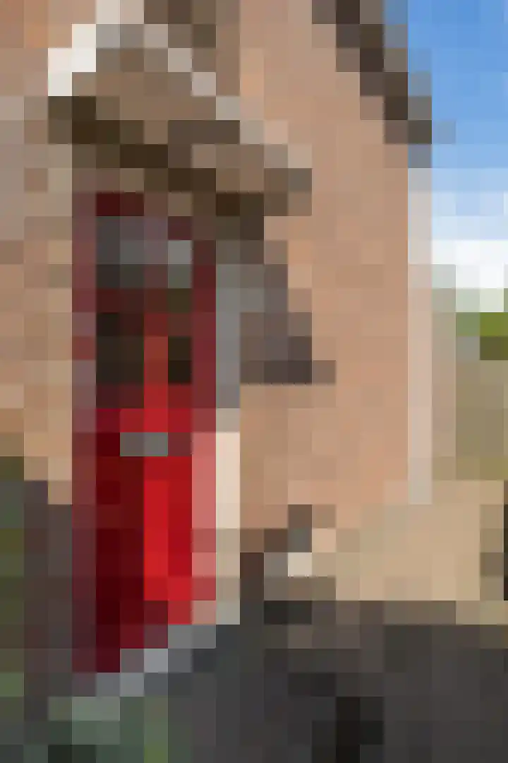 Prins Hendriklaan 7 Berg en Dal thumbnail 4