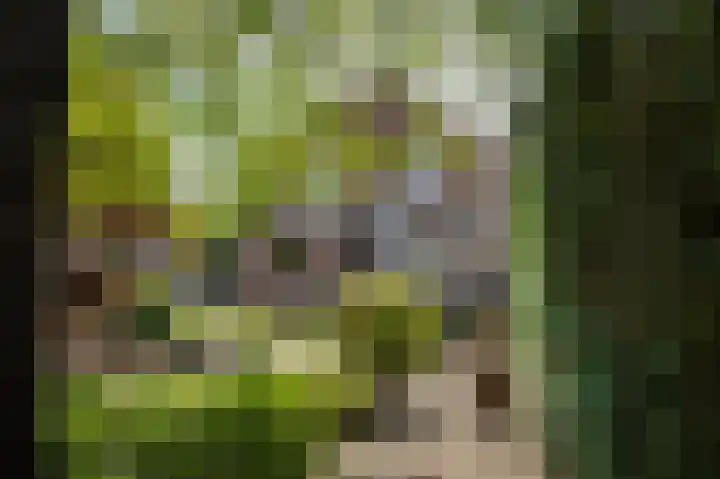 Prins Hendriklaan 7 Berg en Dal thumbnail 45