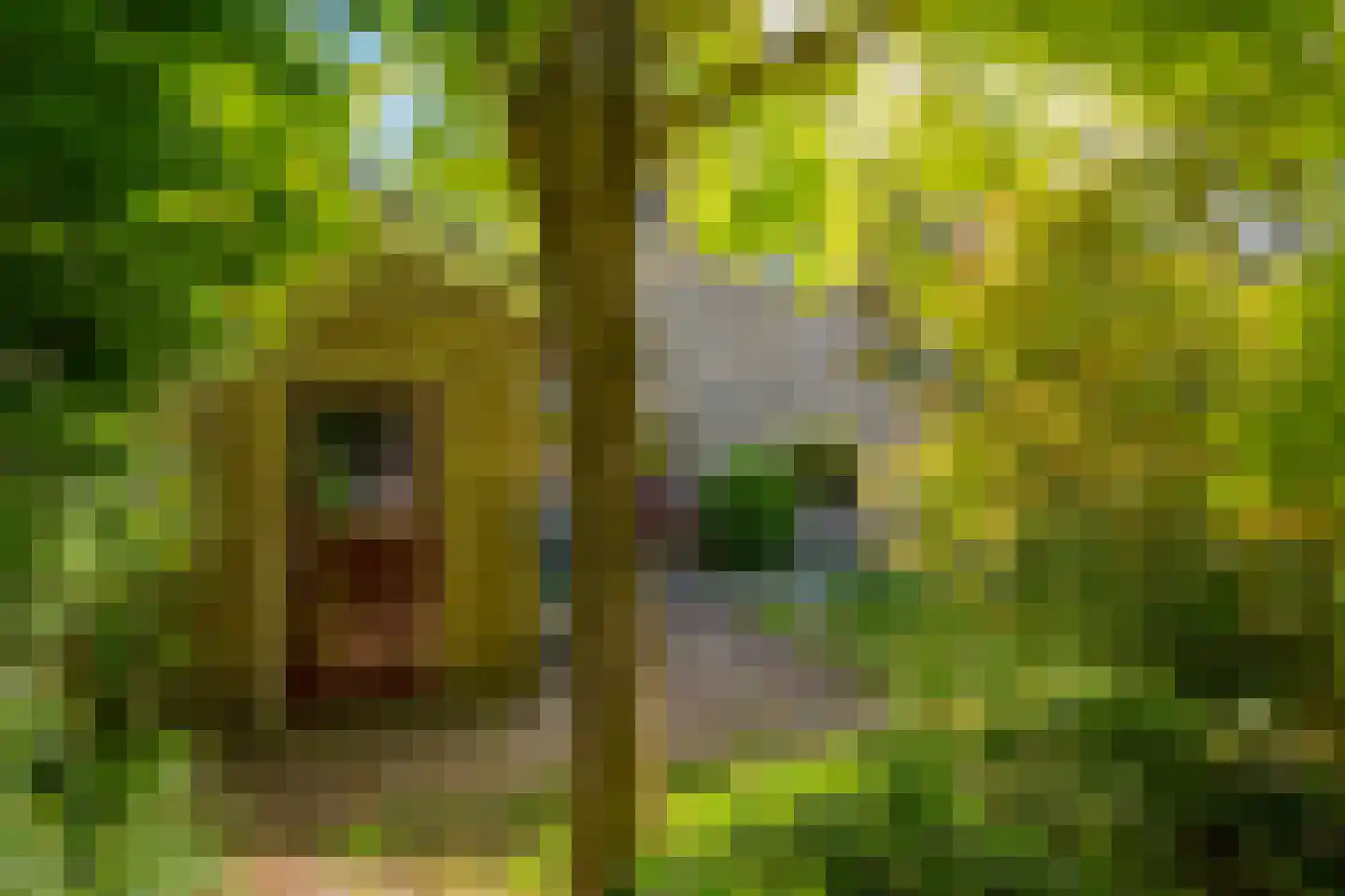 Prins Hendriklaan 7 Varsseveld thumbnail 33