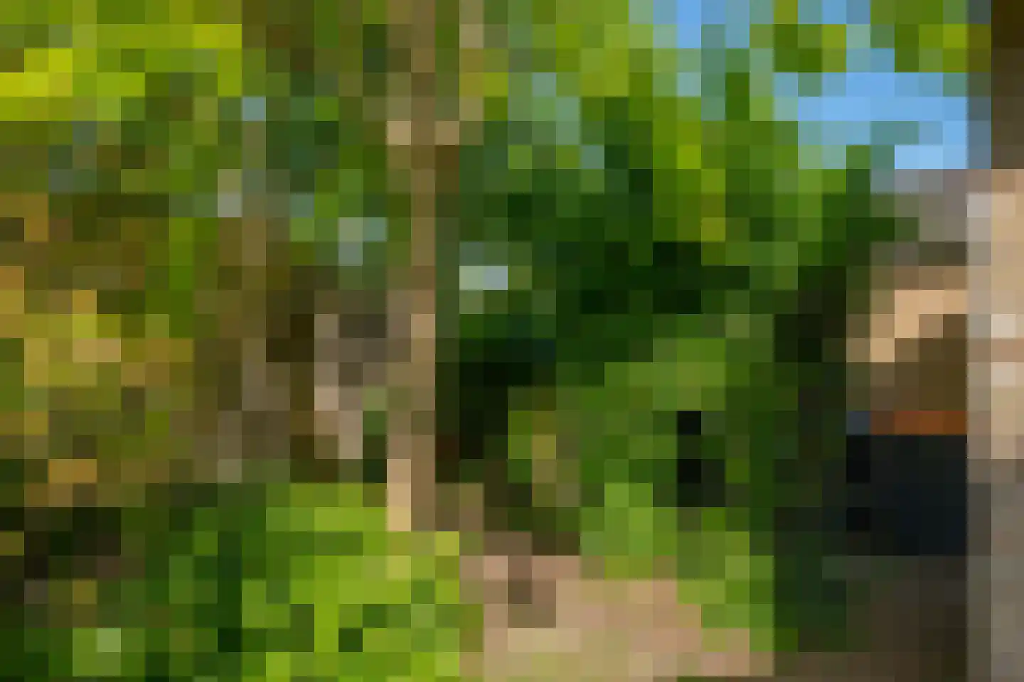 Prins Hendriklaan 7 Varsseveld thumbnail 34