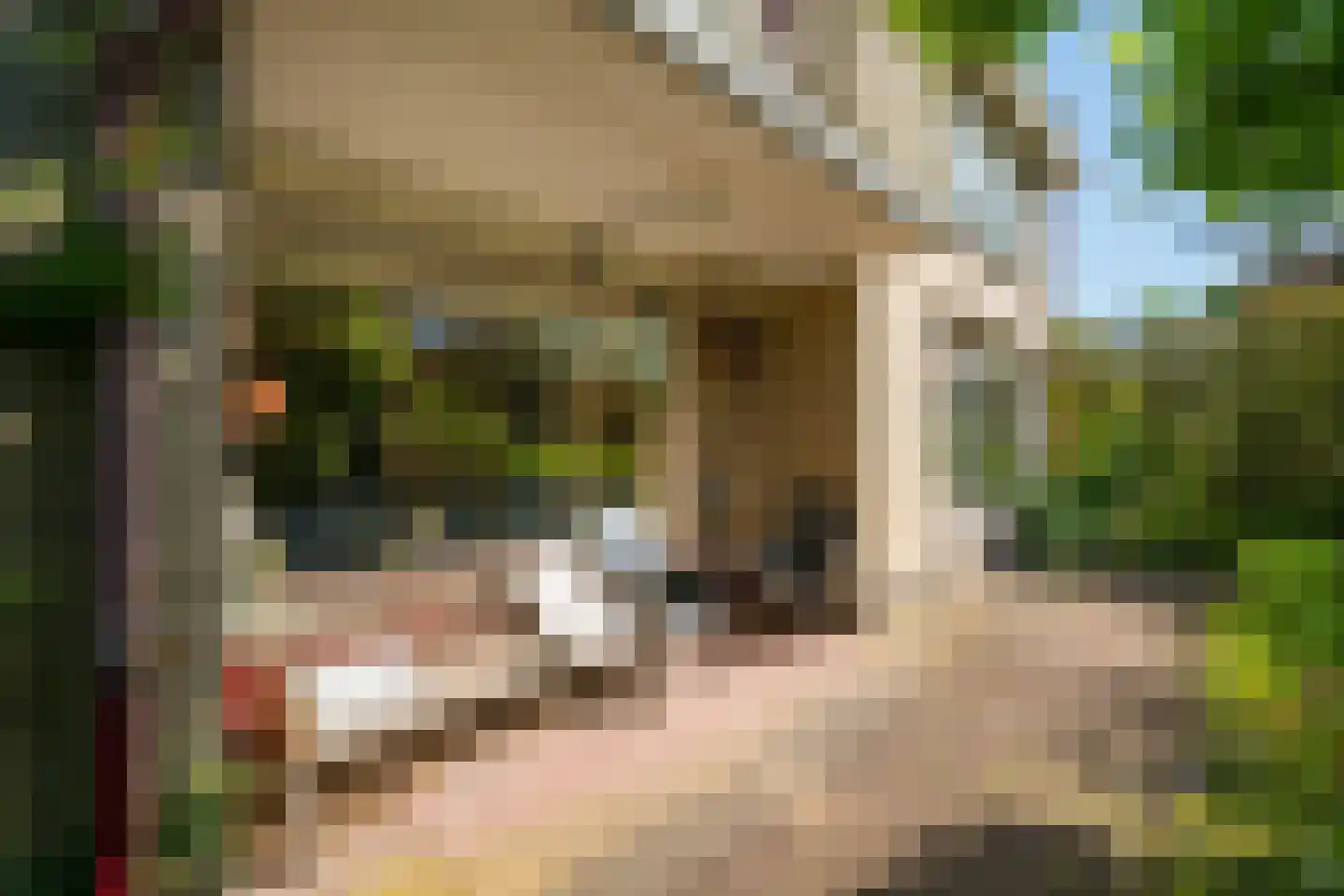 Prins Hendriklaan 7 Varsseveld thumbnail 36