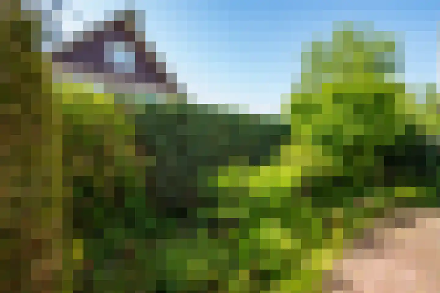 Prins Hendriklaan 7 Varsseveld thumbnail 38