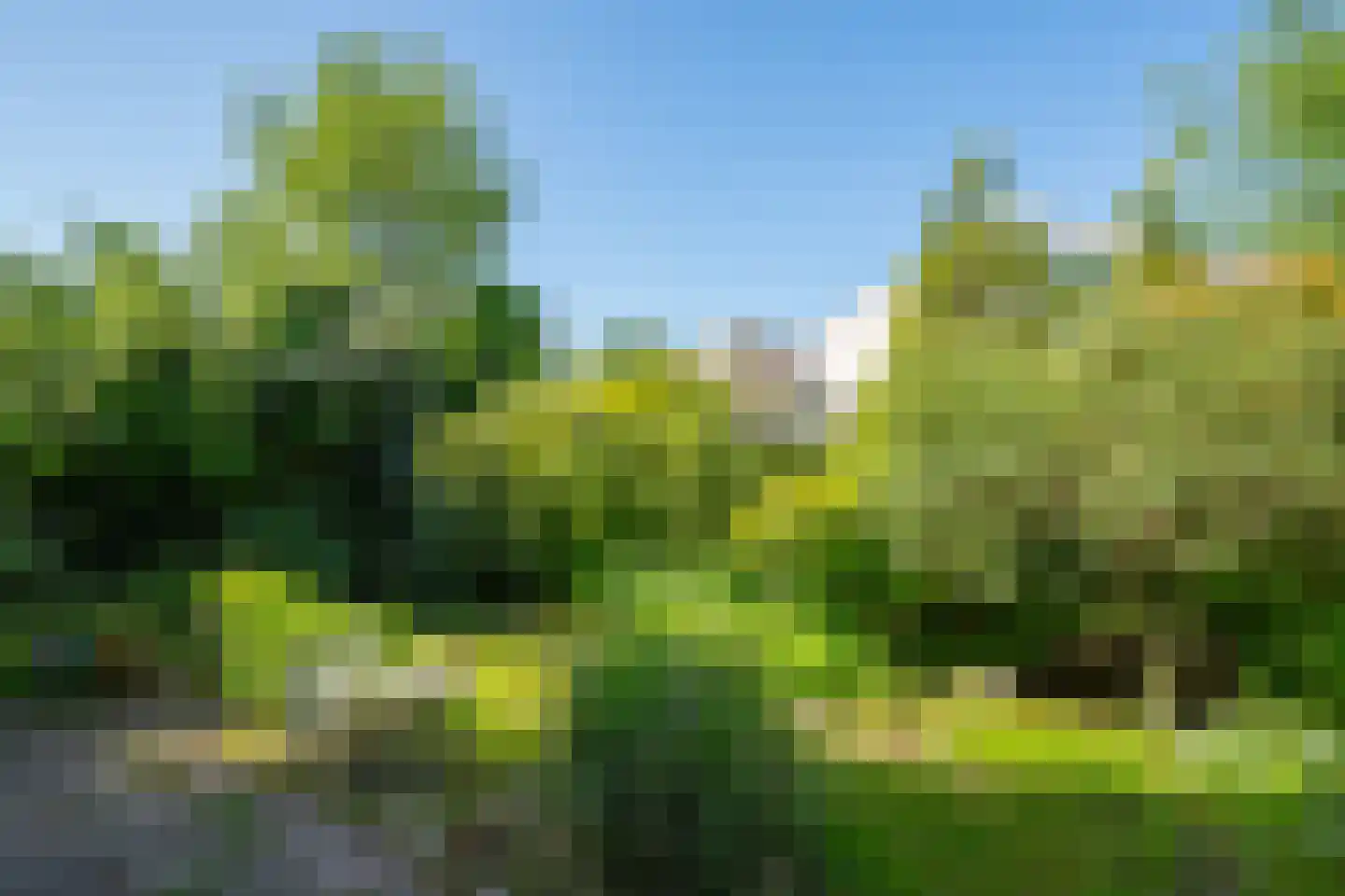 Prins Hendriklaan 7 Varsseveld thumbnail 39