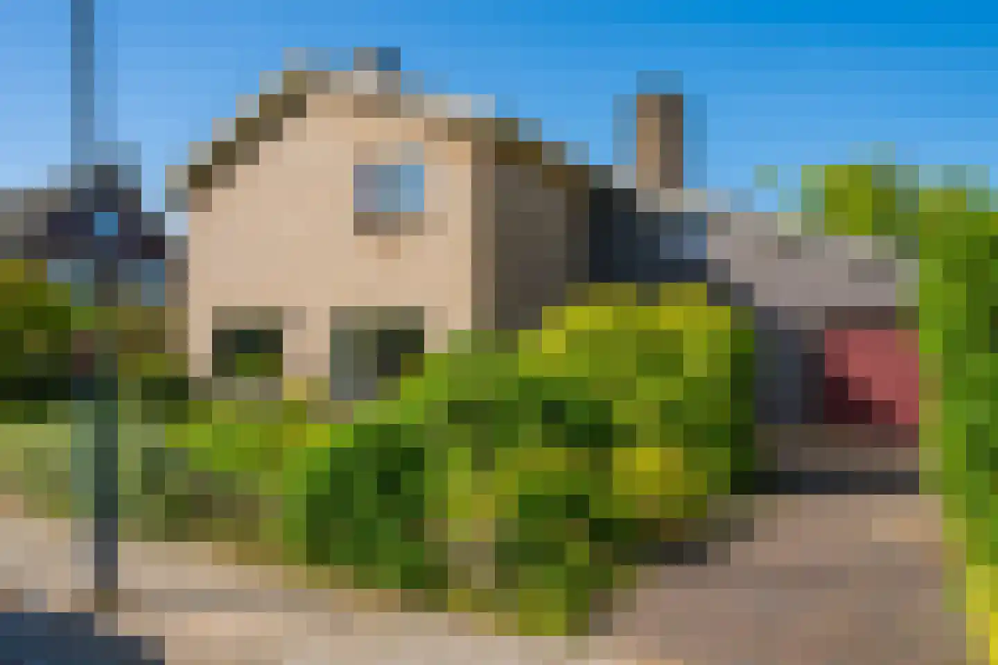Prins Hendriklaan 7 Varsseveld thumbnail 6