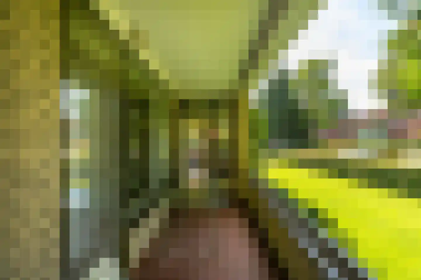 Prins Hendriklaan 70 Baarn thumbnail 17