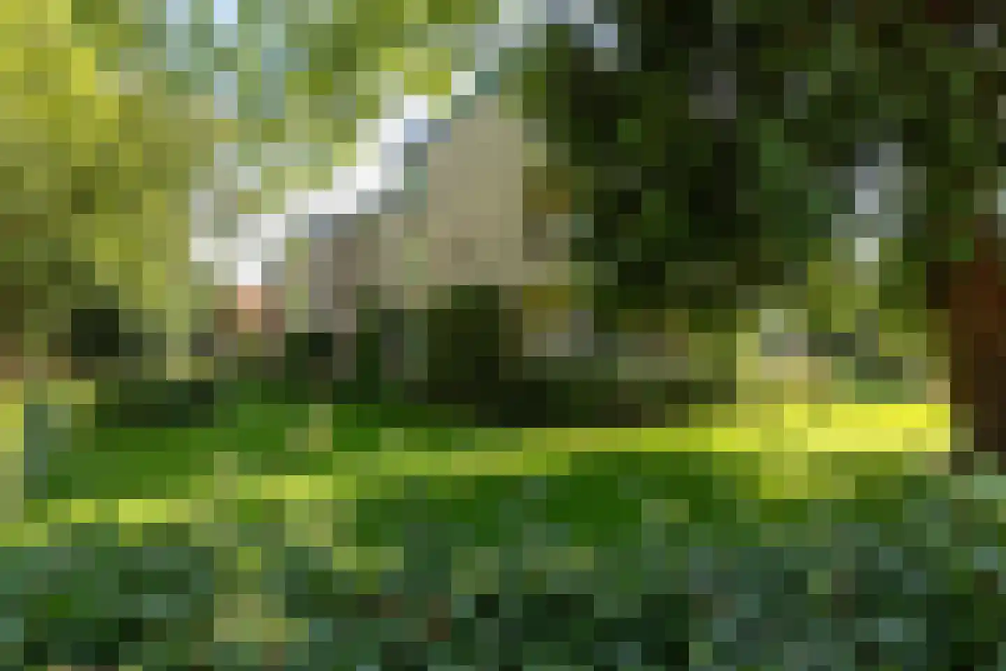 Prins Hendriklaan 70 Baarn thumbnail 34