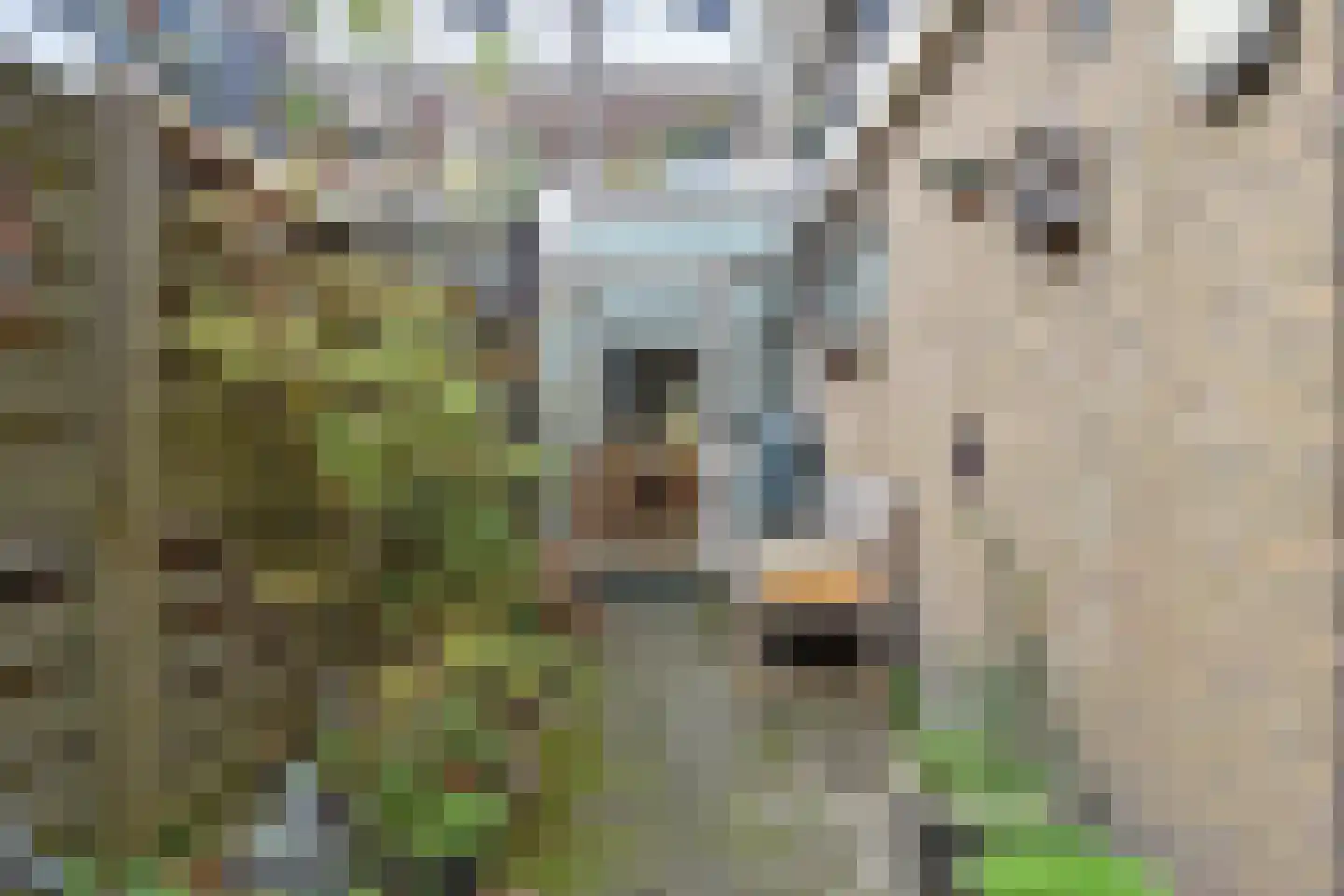 Prins Hendriklaan 74 Leidschendam thumbnail 40