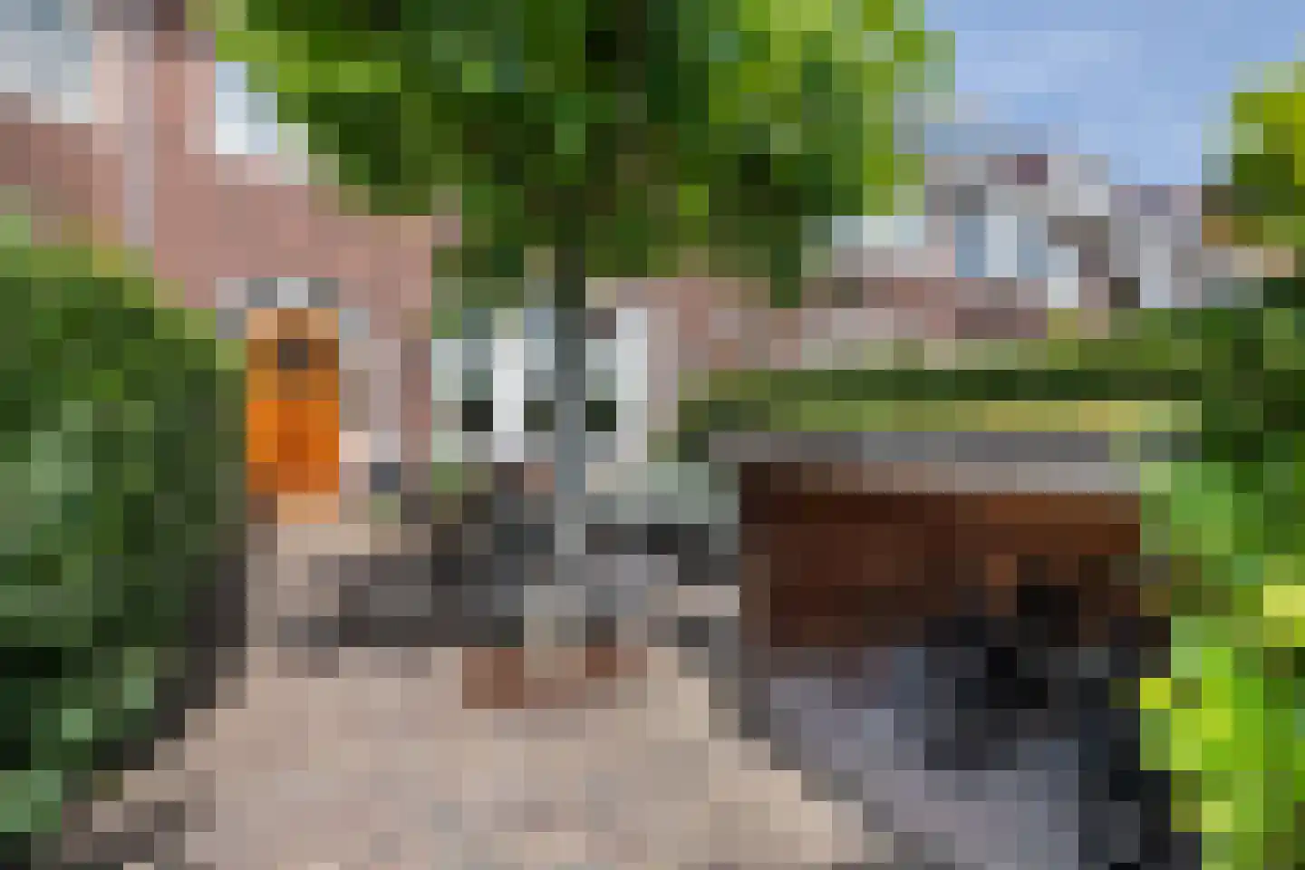 Prins Hendriklaan 79 Overveen thumbnail 47