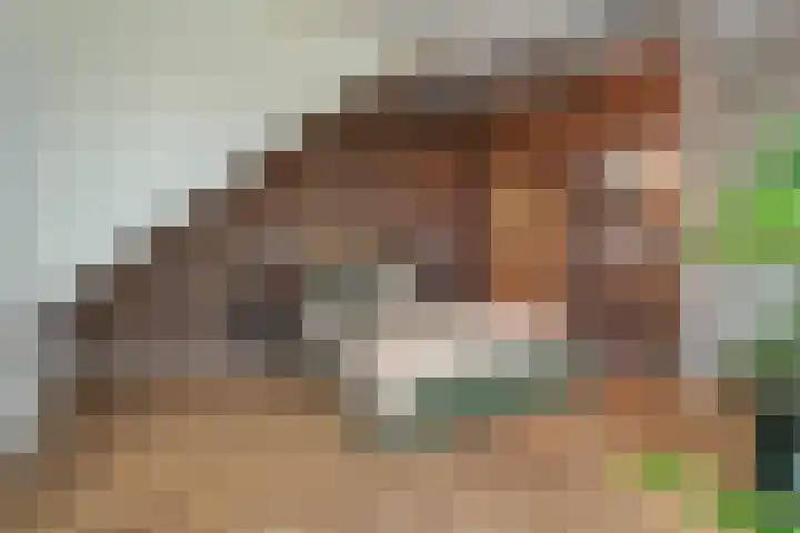 Prins Hendriklaan 8 A Nieuwegein thumbnail 8