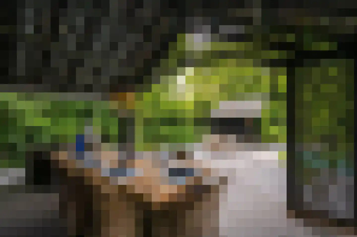 Prins Hendriklaan 8 Blaricum thumbnail 12