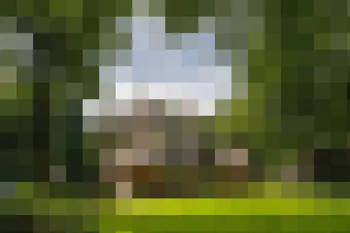 Prins Hendriklaan 8 Blaricum thumbnail 16