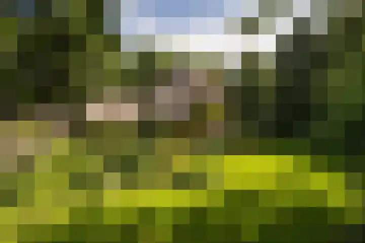 Prins Hendriklaan 8 Blaricum thumbnail 17