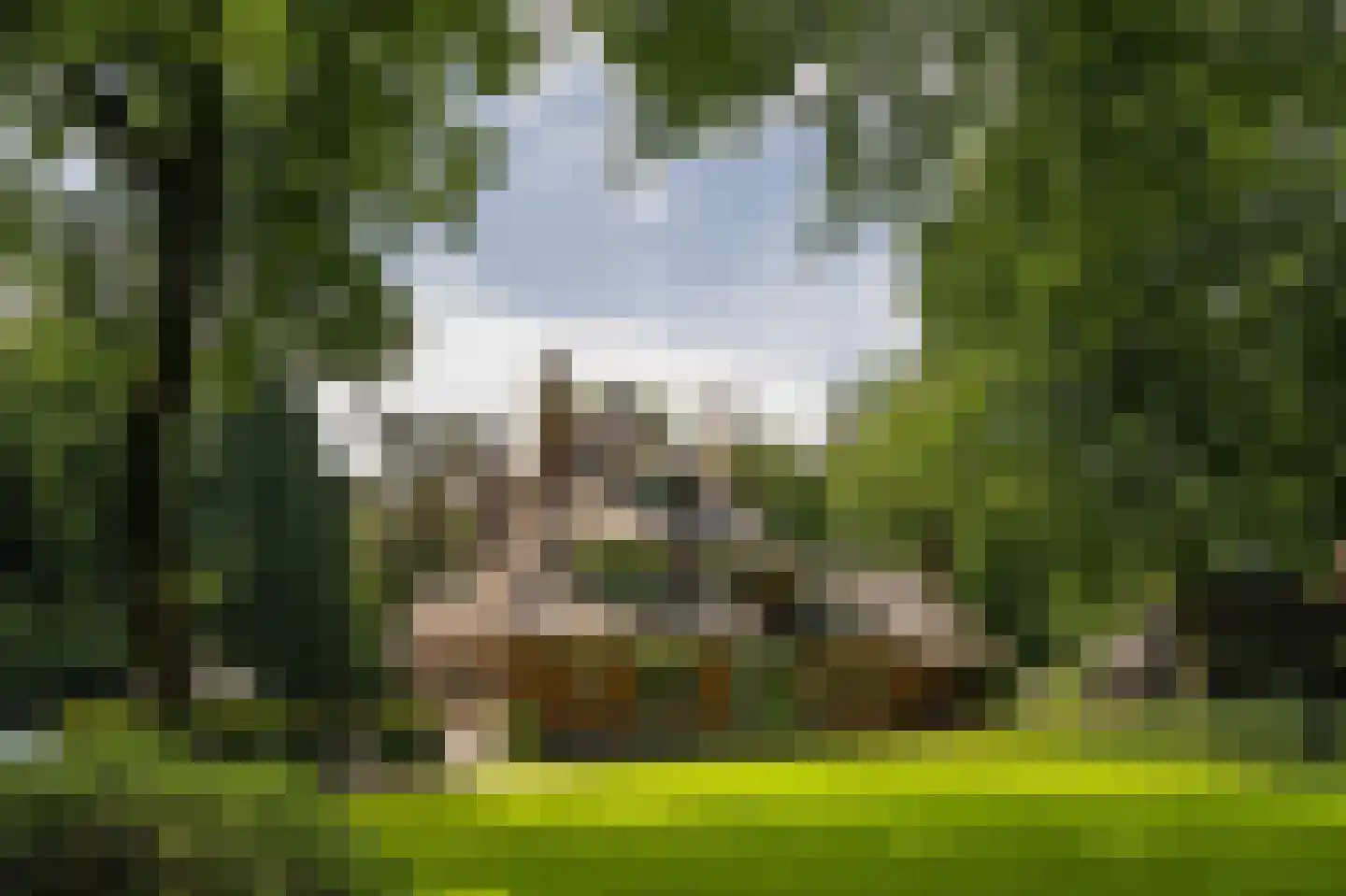 Prins Hendriklaan 8 Blaricum thumbnail 18