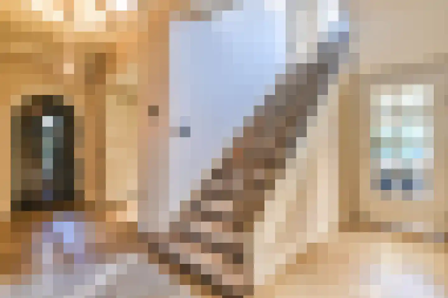 Prins Hendriklaan 8 Blaricum thumbnail 22