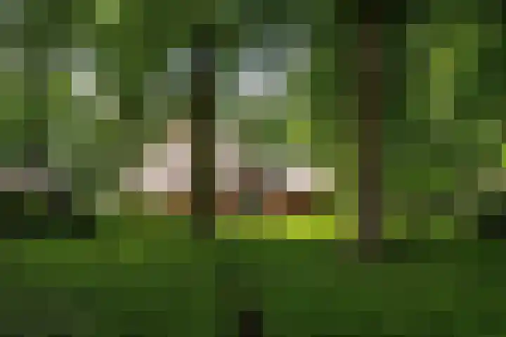 Prins Hendriklaan 8 Blaricum thumbnail 4