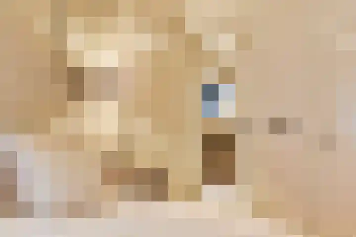Prins Hendriklaan 8 Blaricum thumbnail 41