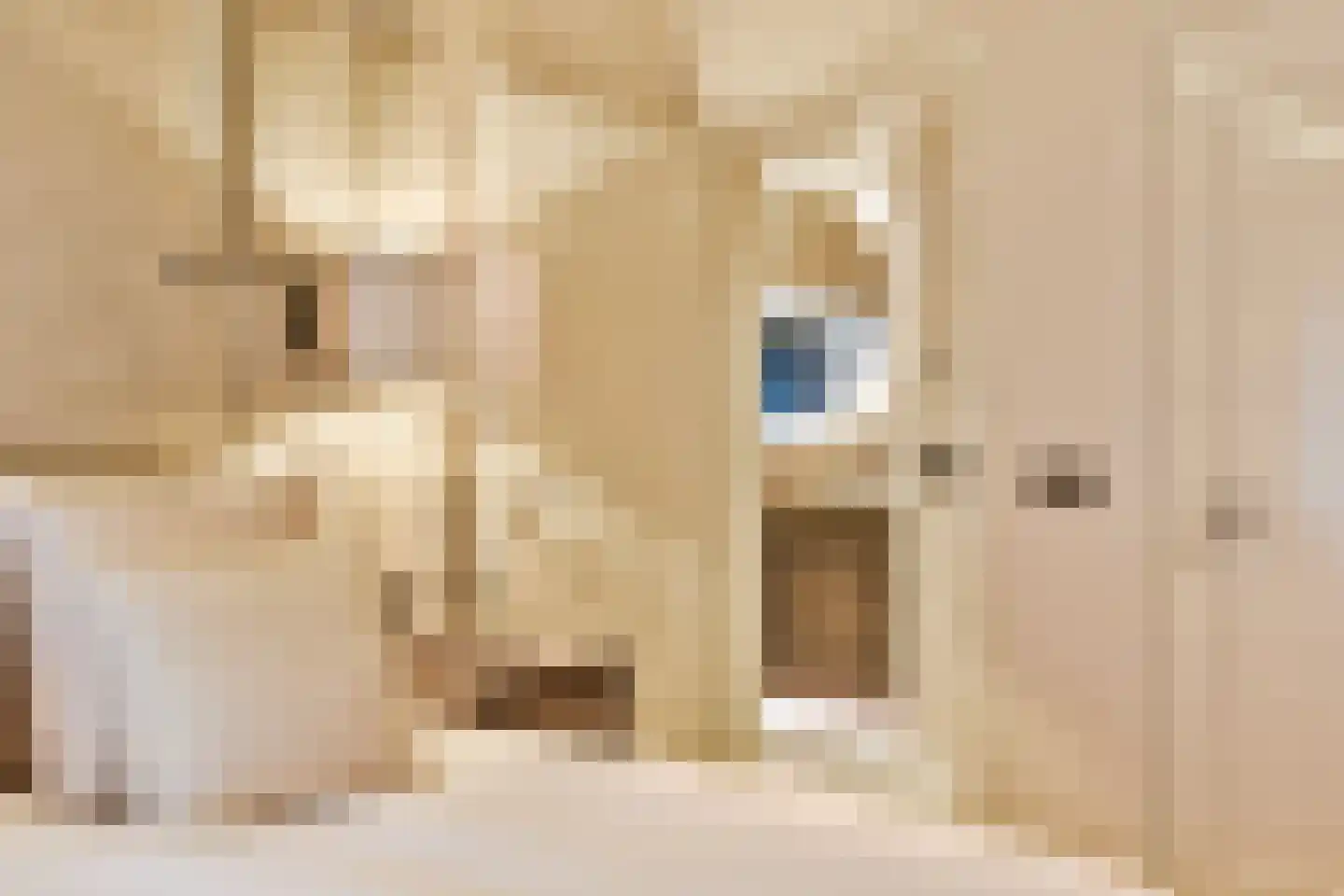Prins Hendriklaan 8 Blaricum thumbnail 42