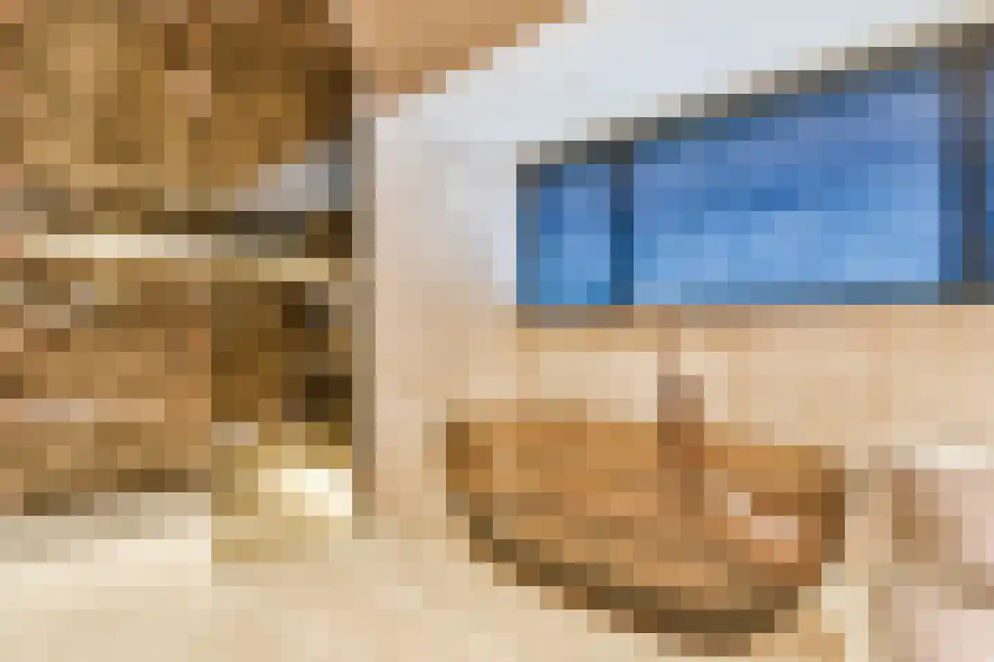Prins Hendriklaan 8 Blaricum thumbnail 47