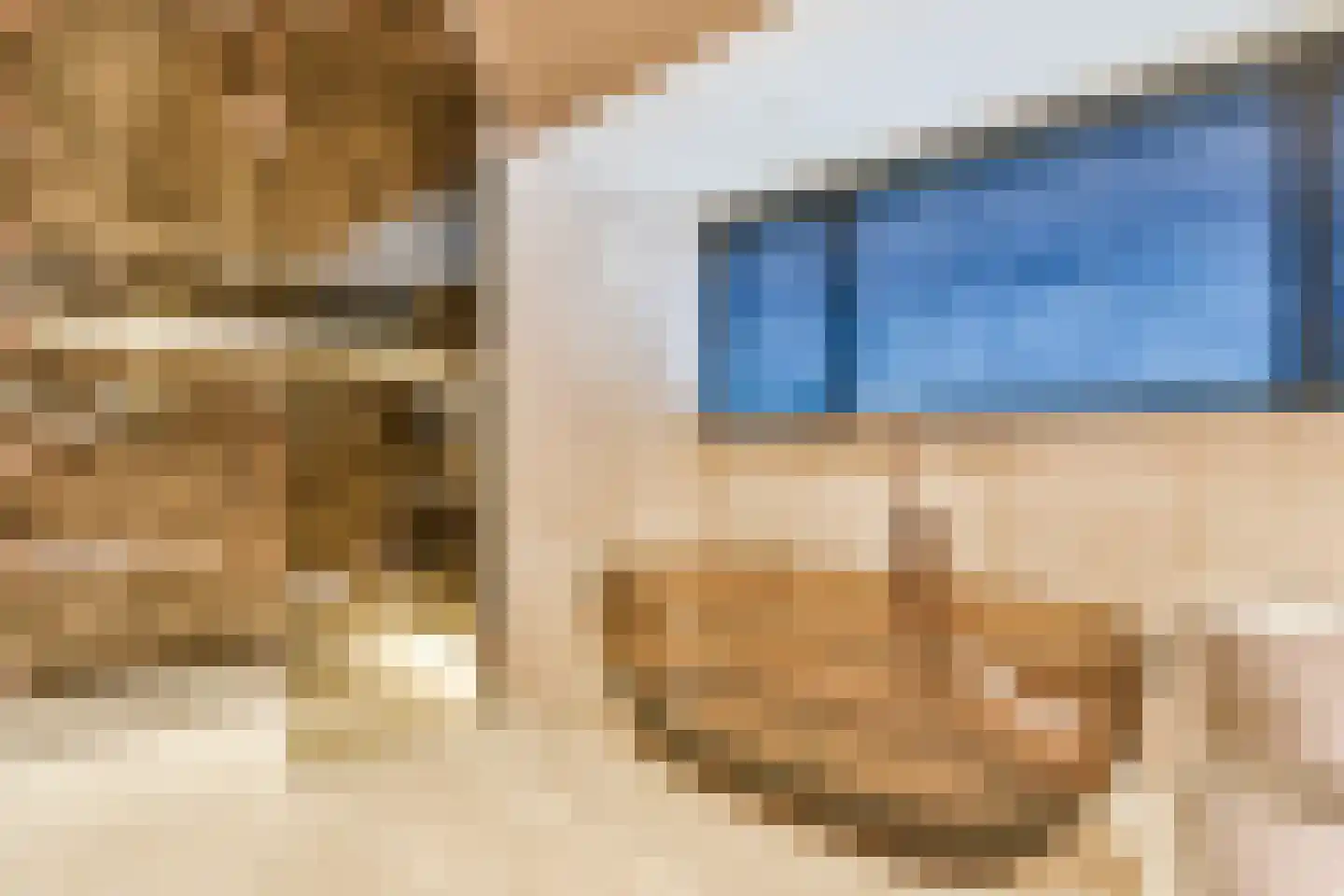 Prins Hendriklaan 8 Blaricum thumbnail 47