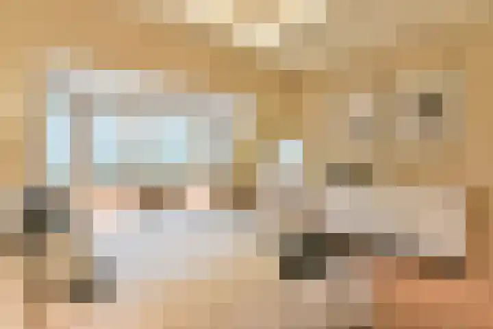 Prins Hendriklaan 8 Blaricum thumbnail 49
