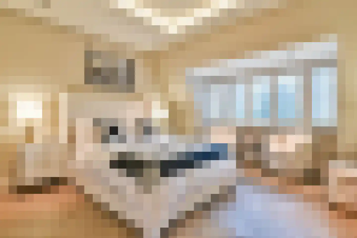 Prins Hendriklaan 8 Blaricum thumbnail 49