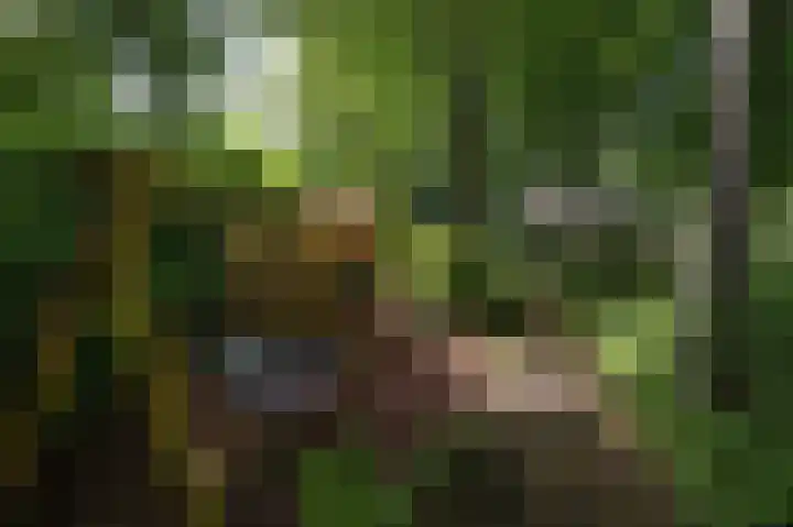 Prins Hendriklaan 8 Blaricum thumbnail 5