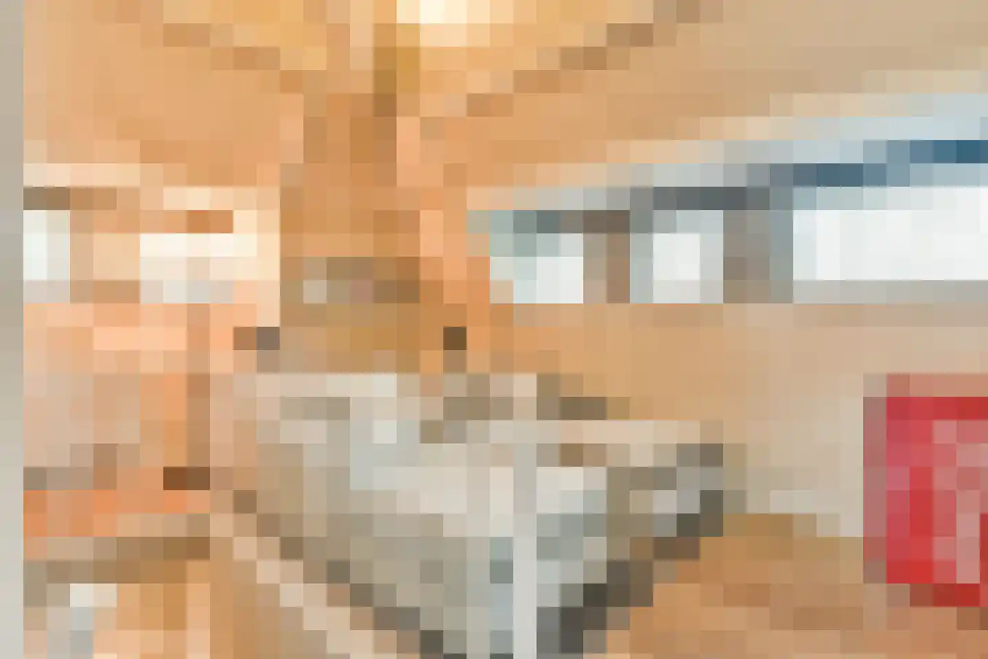 Prins Hendriklaan 8 Blaricum thumbnail 56