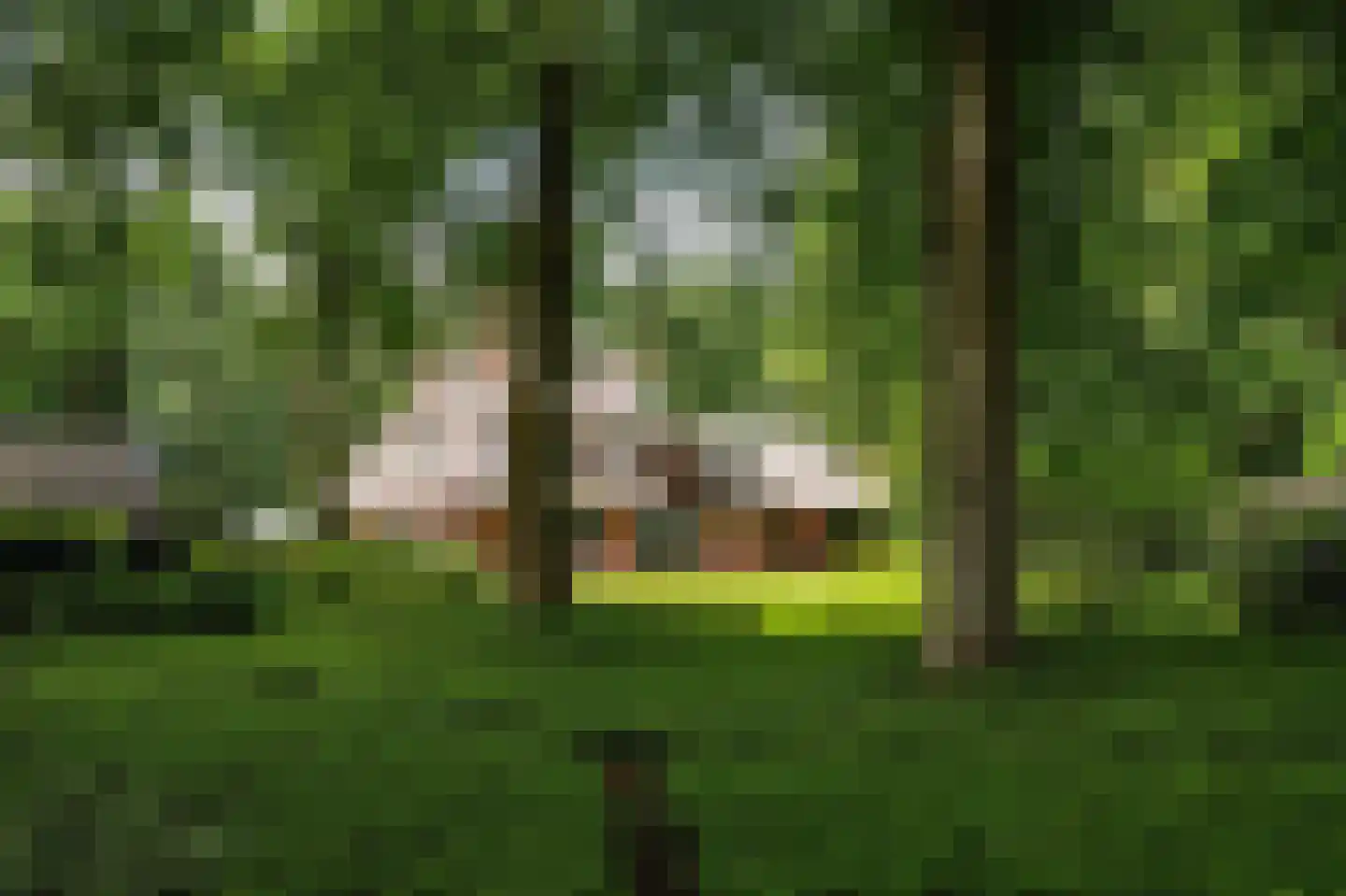 Prins Hendriklaan 8 Blaricum thumbnail 6