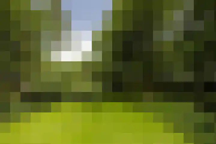 Prins Hendriklaan 8 Blaricum thumbnail 6