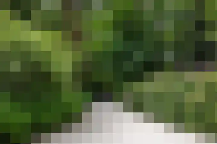 Prins Hendriklaan 8 Blaricum thumbnail 7
