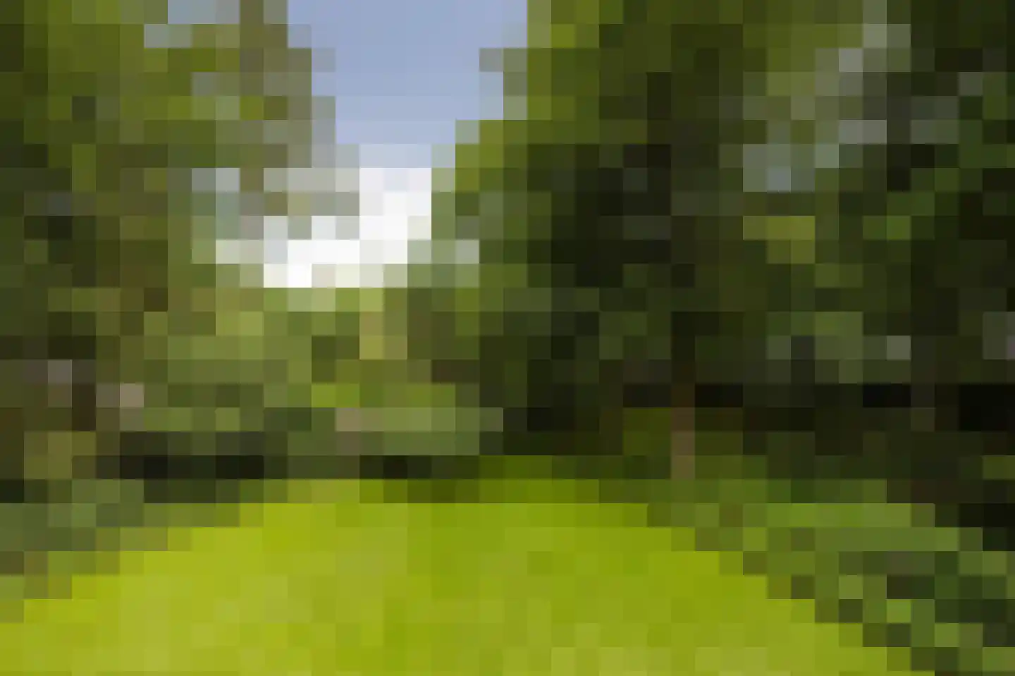 Prins Hendriklaan 8 Blaricum thumbnail 8