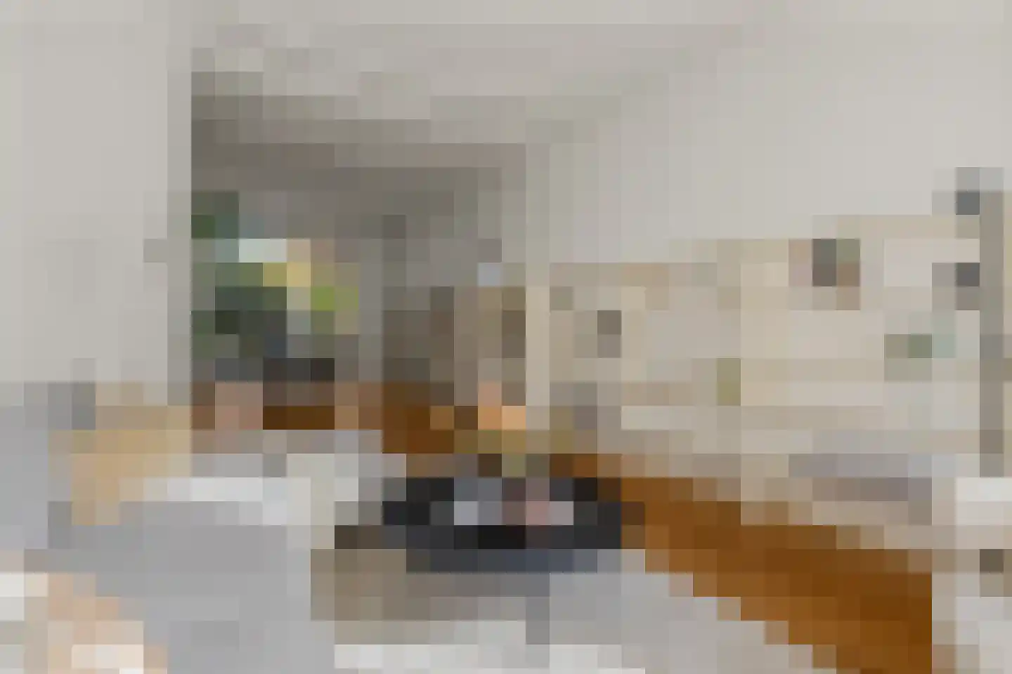 Prins Hendriklaan 8 Utrecht thumbnail 11