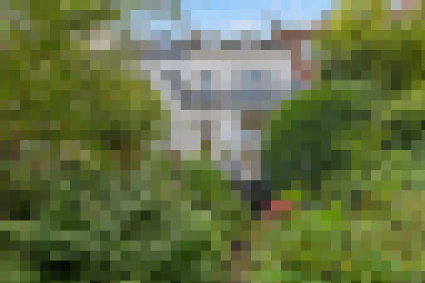 Prins Hendriklaan 8 Utrecht thumbnail 16