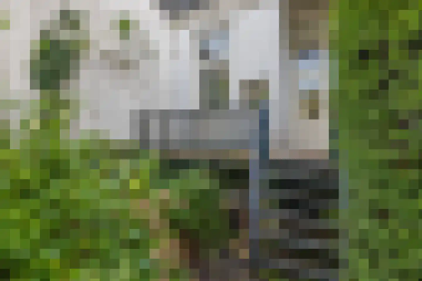 Prins Hendriklaan 8 Utrecht thumbnail 19