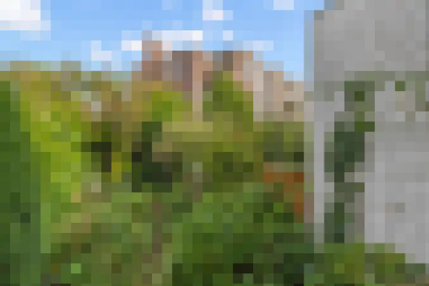 Prins Hendriklaan 8 Utrecht thumbnail 41