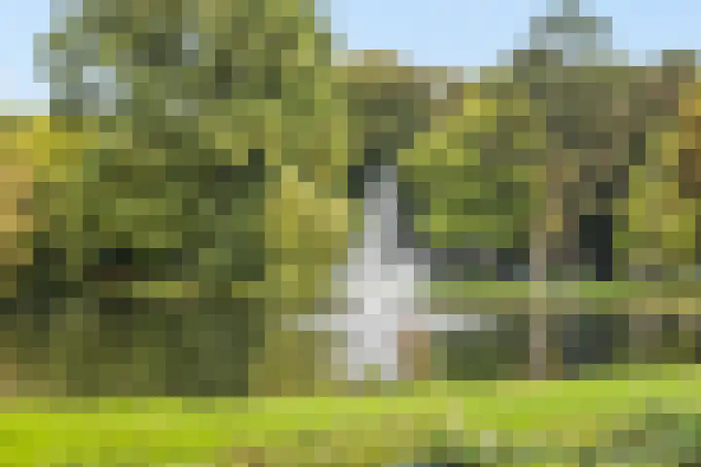 Prins Hendriklaan 8 Utrecht thumbnail 6