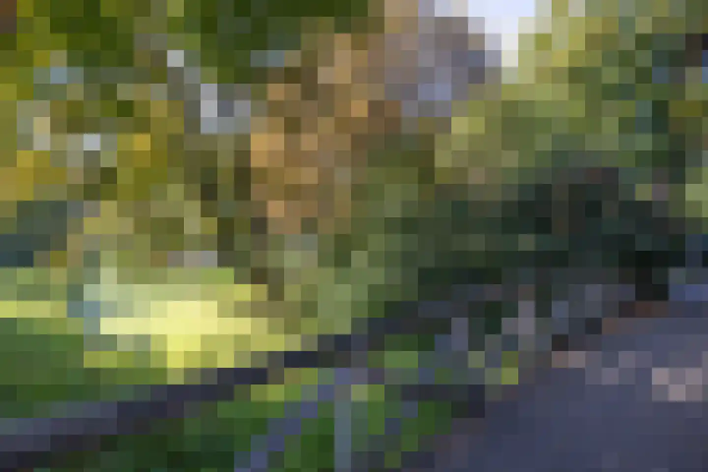 Prins Hendriklaan 8 Utrecht thumbnail 67