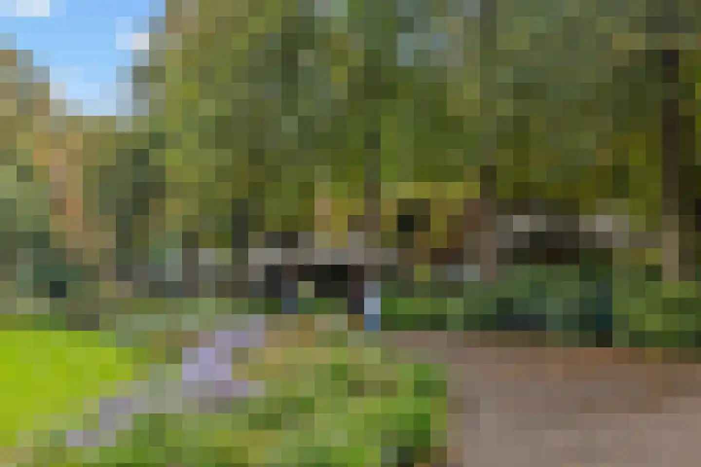 Prins Hendriklaan 8 Utrecht thumbnail 69
