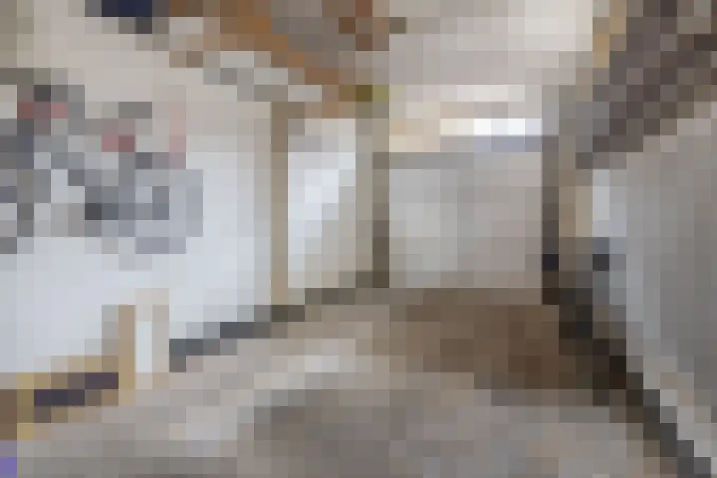 Prins Hendriklaan 81 Utrecht thumbnail 26