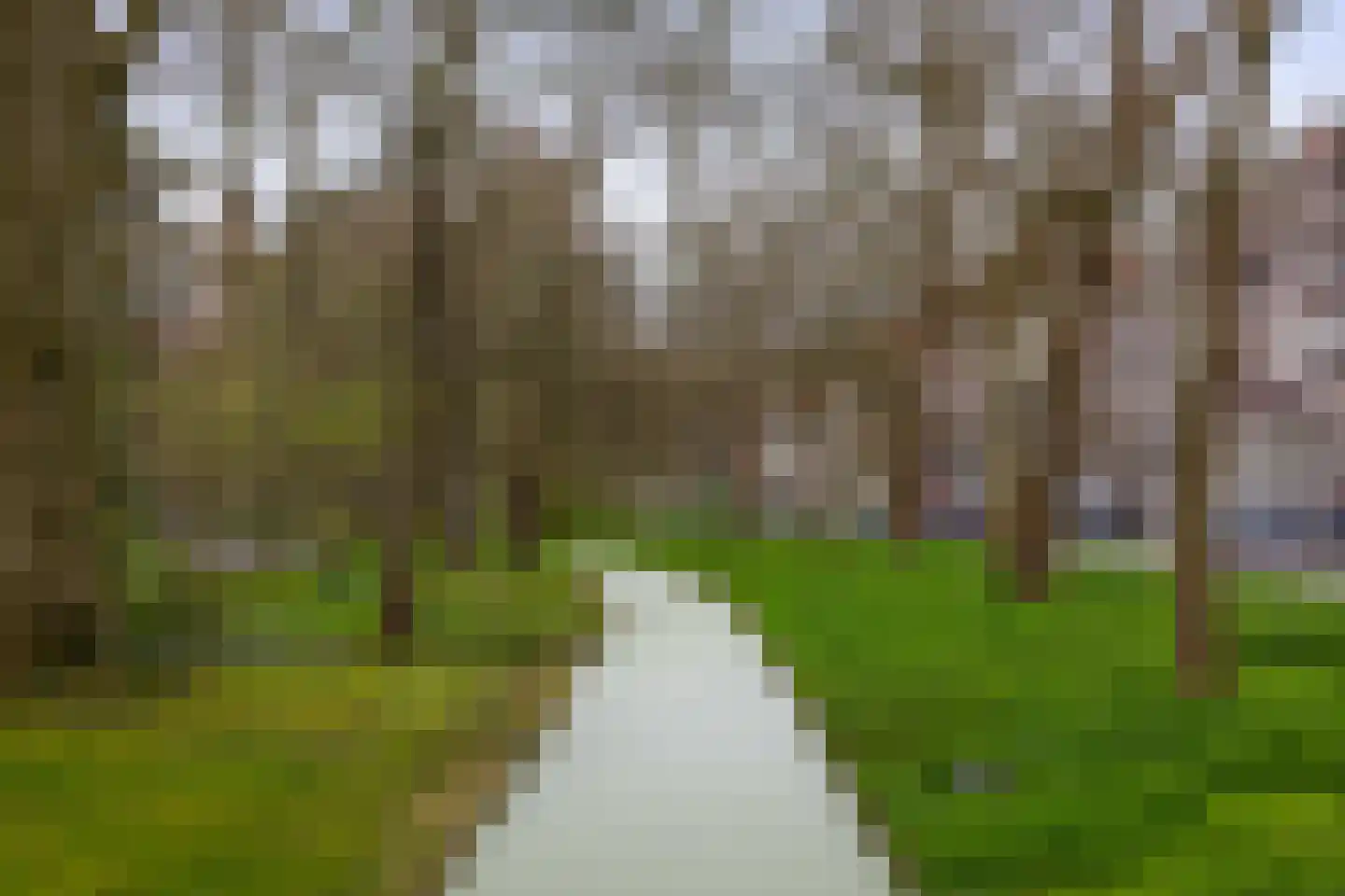 Prins Hendriklaan 81 Utrecht thumbnail 42