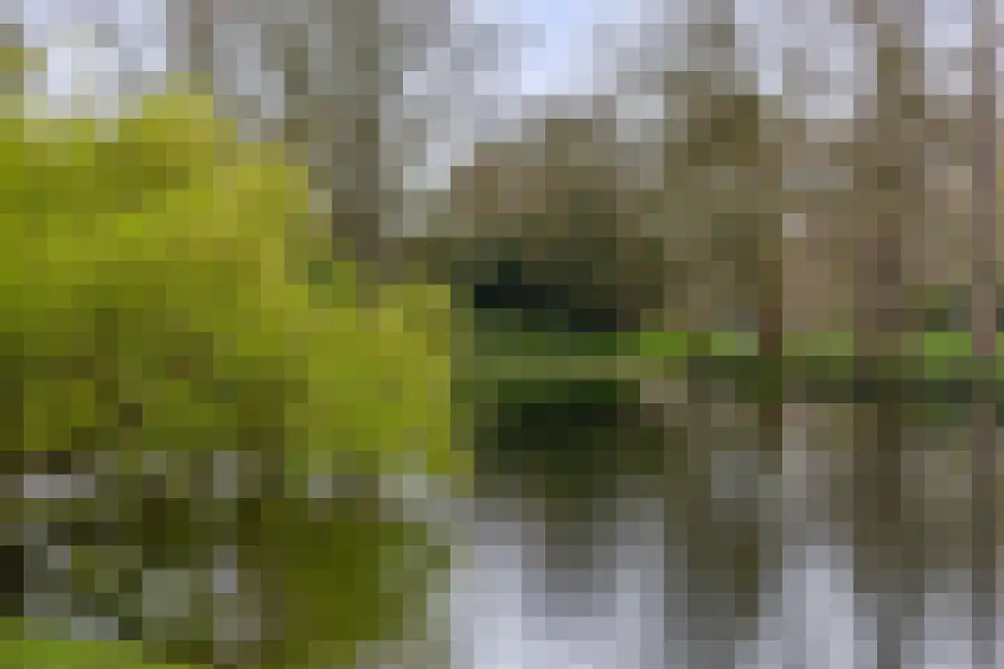Prins Hendriklaan 81 Utrecht thumbnail 43