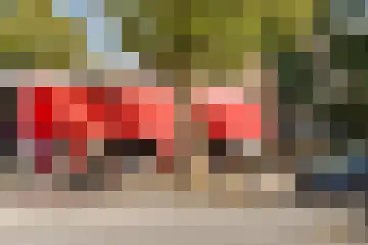 Prins Hendriklaan 9 A Baarn thumbnail 22