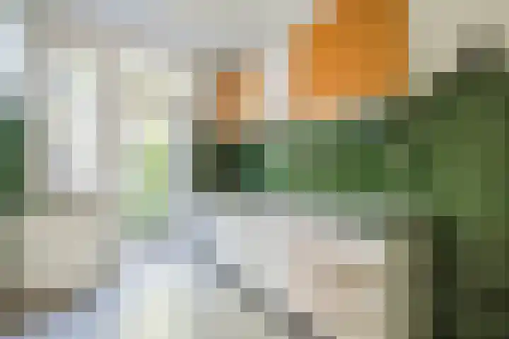Prins Hendriklaan 9 Leusden thumbnail 13