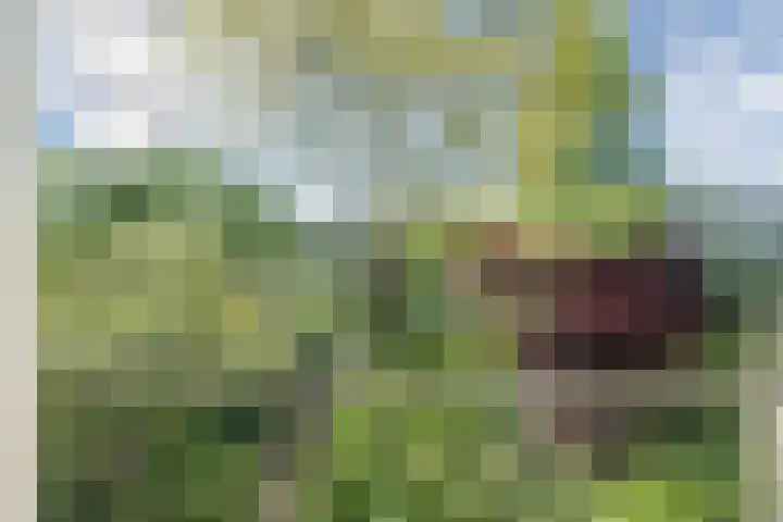 Prins Hendriklaan 9 Leusden thumbnail 21