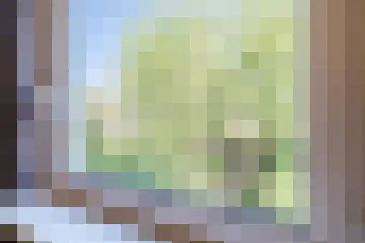 Prins Hendriklaan 9 Leusden thumbnail 26