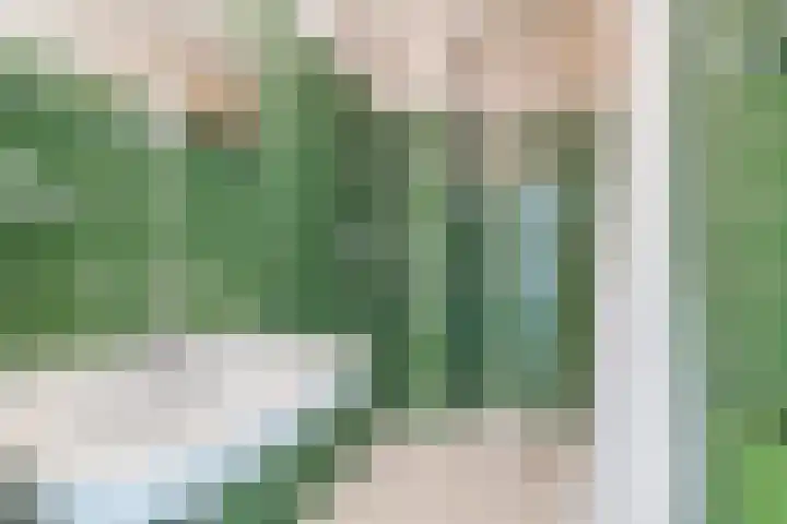 Prins Hendriklaan 9 Leusden thumbnail 29