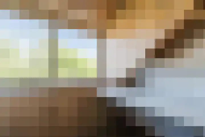 Prins Hendriklaan 9 Leusden thumbnail 35