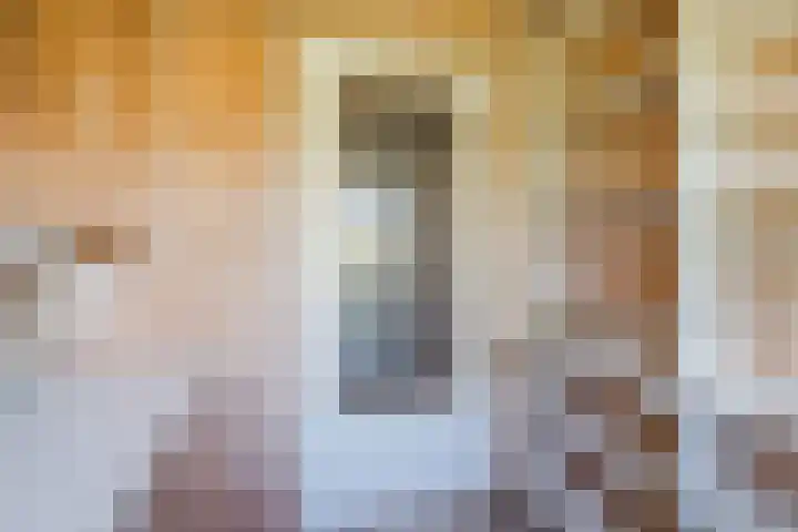 Prins Hendriklaan 9 Leusden thumbnail 36