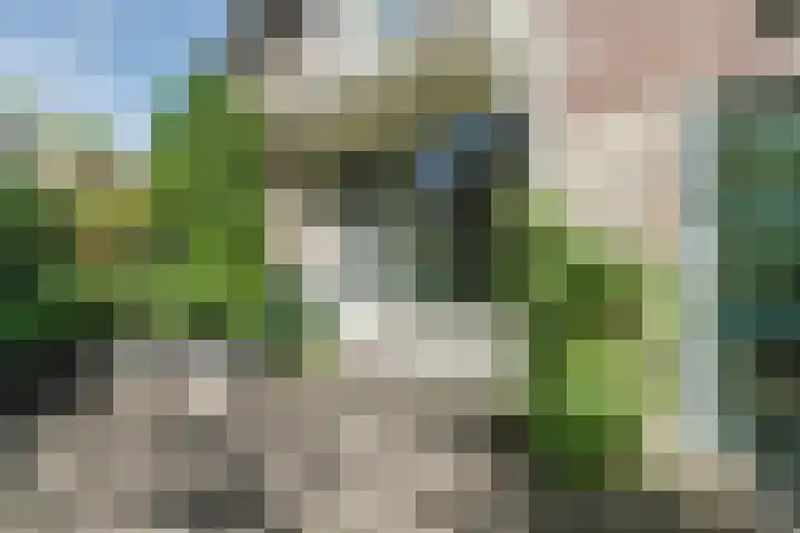 Prins Hendriklaan 9 Leusden thumbnail 4