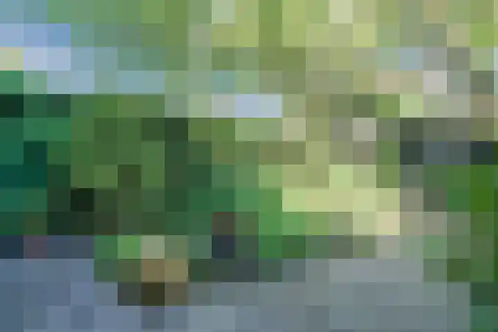 Prins Hendriklaan 9 Leusden thumbnail 40